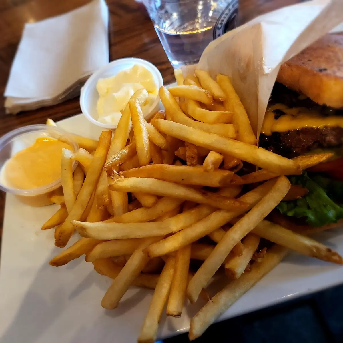 Grilled Cheese Burger w Fries