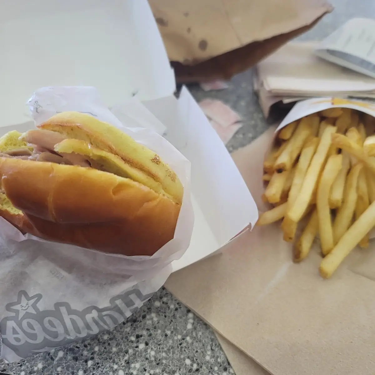 Hot Ham and Cheese & Fries