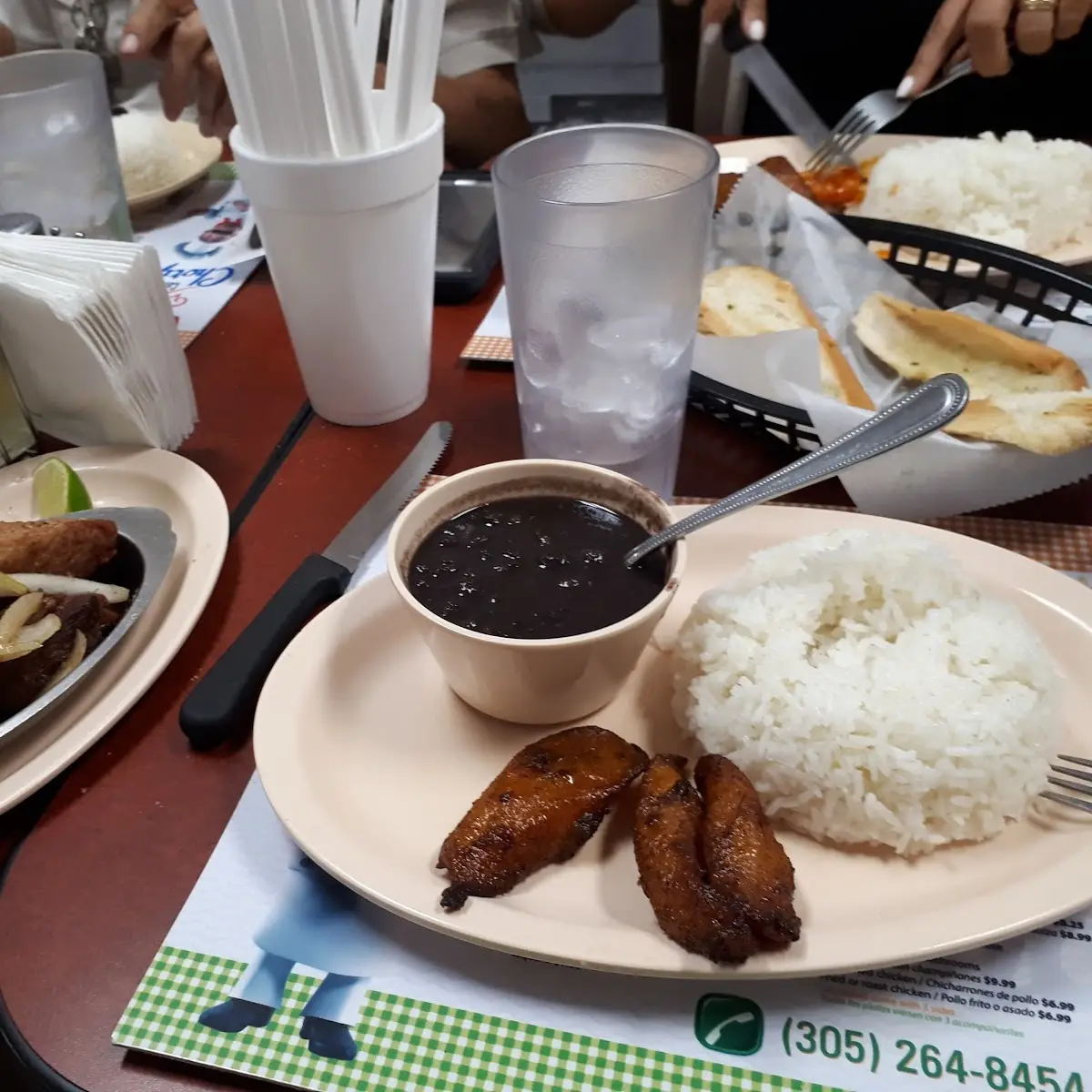 Central-American Plate Plato Centroamericano
