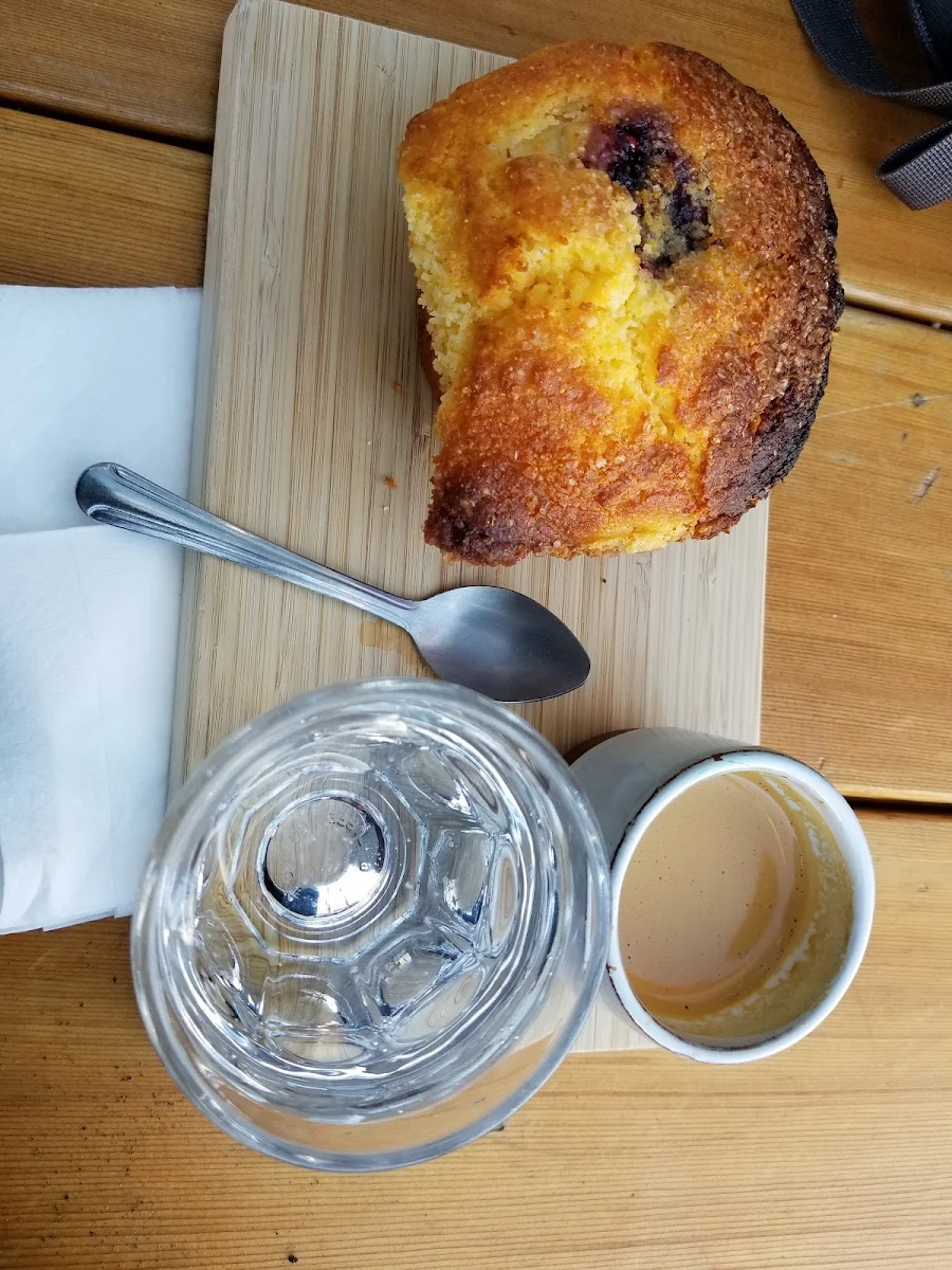 Blueberry Muffin