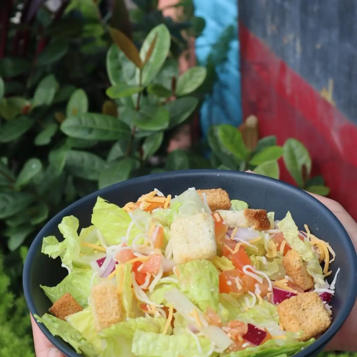 House Salad