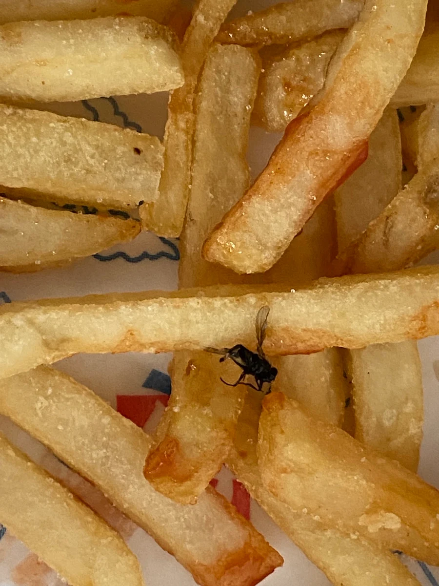 Small Fries
