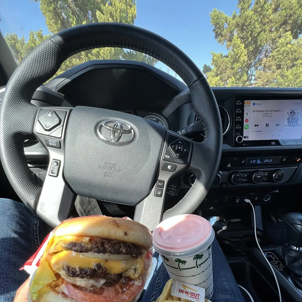 Double Double Cheeseburger Combo
