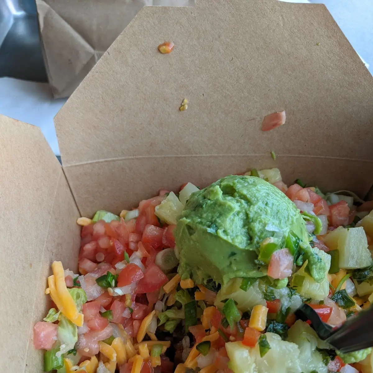 Burrito with Pineapple Salsa and Guacamole