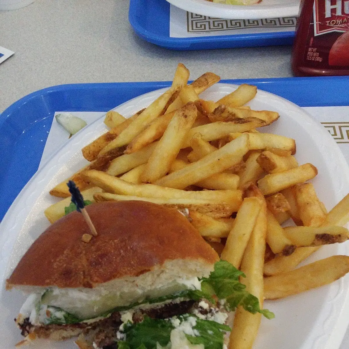 Greek Burger
