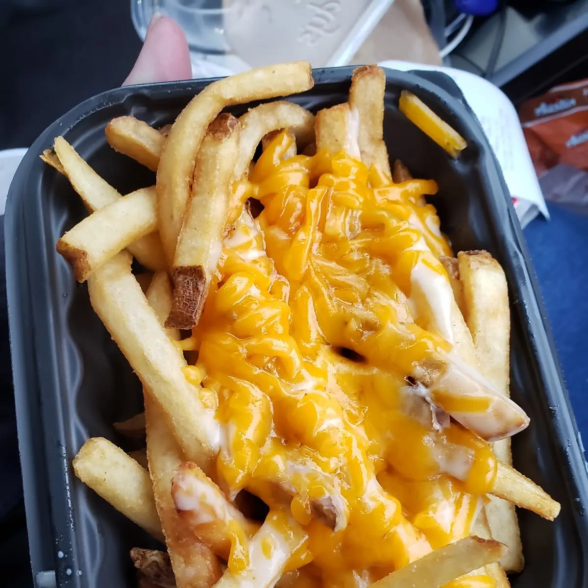 Bacon Cheese Fries