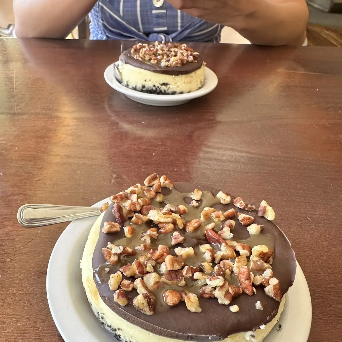 Turtle Cheesecake
