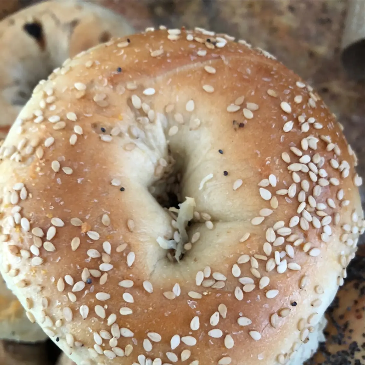 Dozen Bagels
