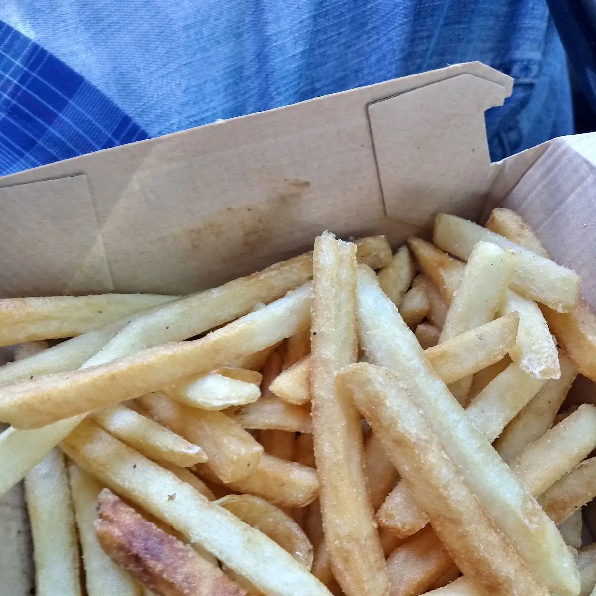 World Famous Fries