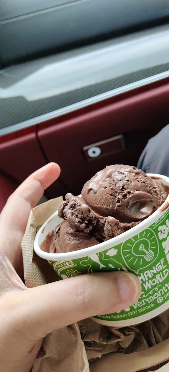 Chocolate Ice Cream