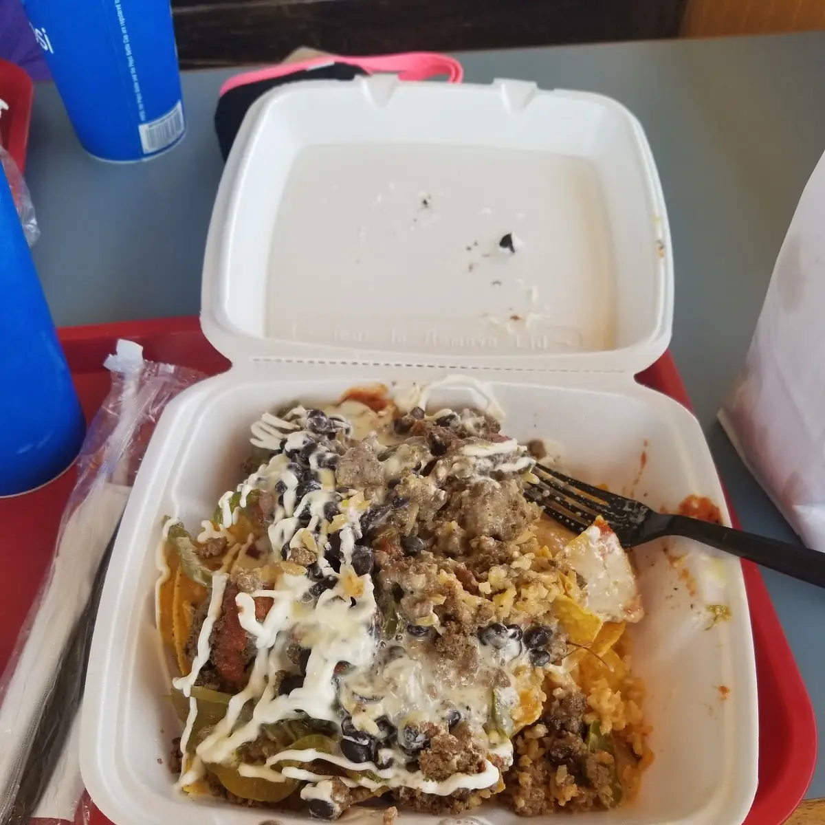 Carne Asada Fries