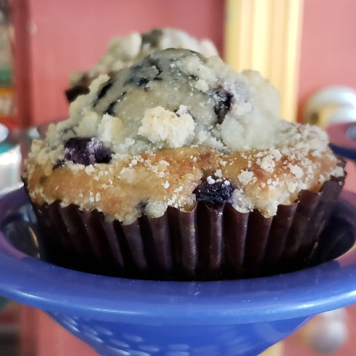 Blueberry Muffin