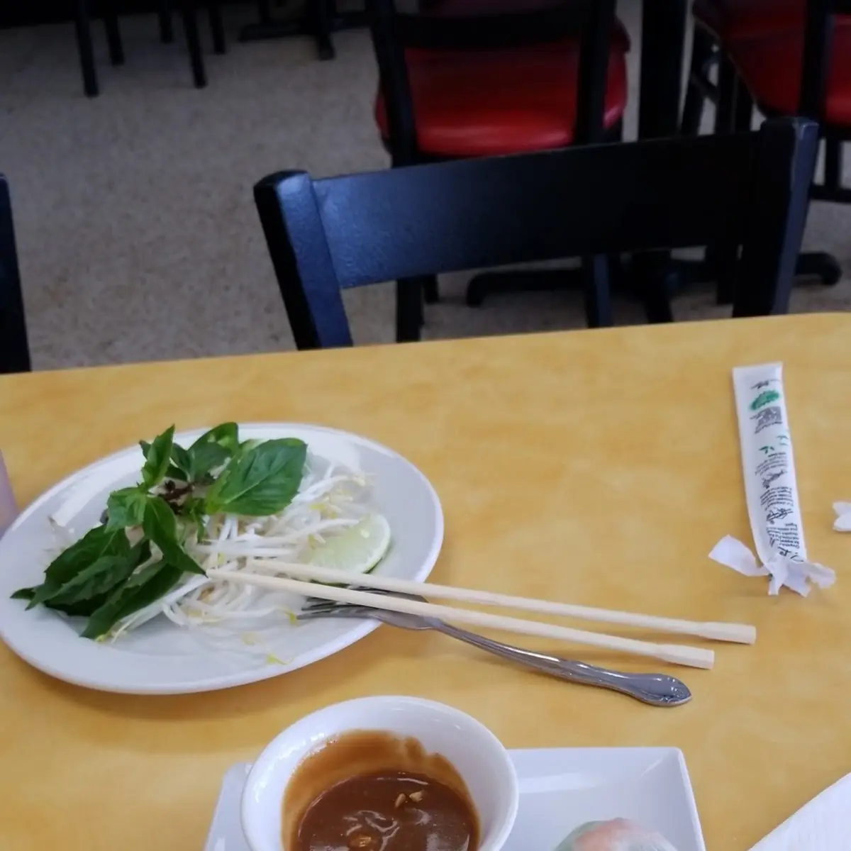 Vietnamese Spring Roll