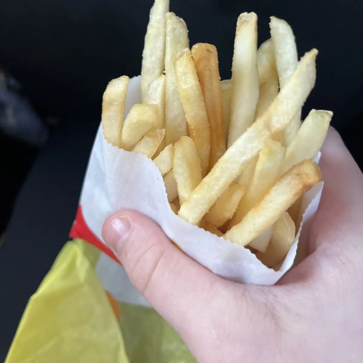 World Famous Fries