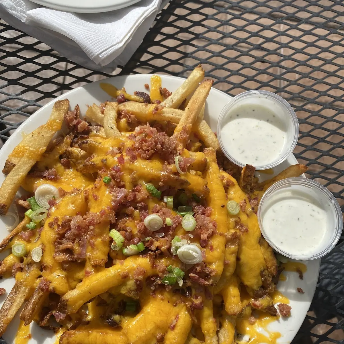 Loaded Fries