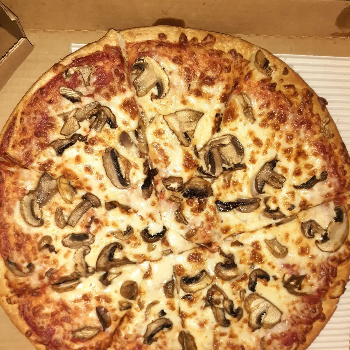 Mushroom Pizza