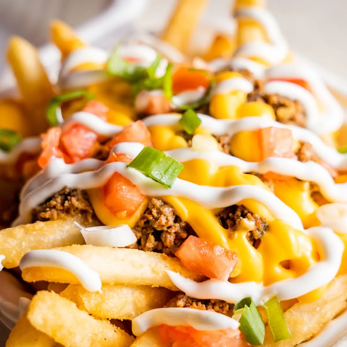Highlights, barBURRITO