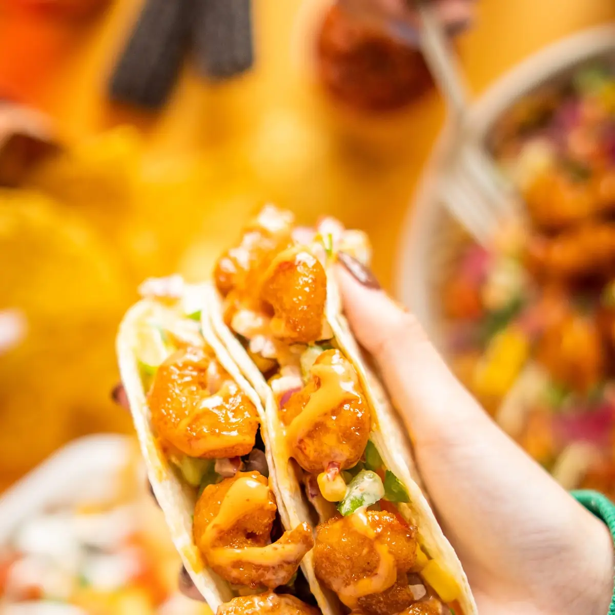 Highlights, barBURRITO