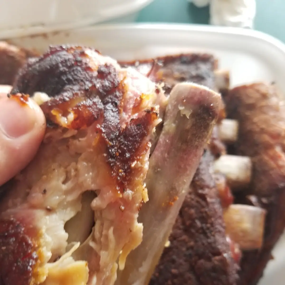 Pork Ribs