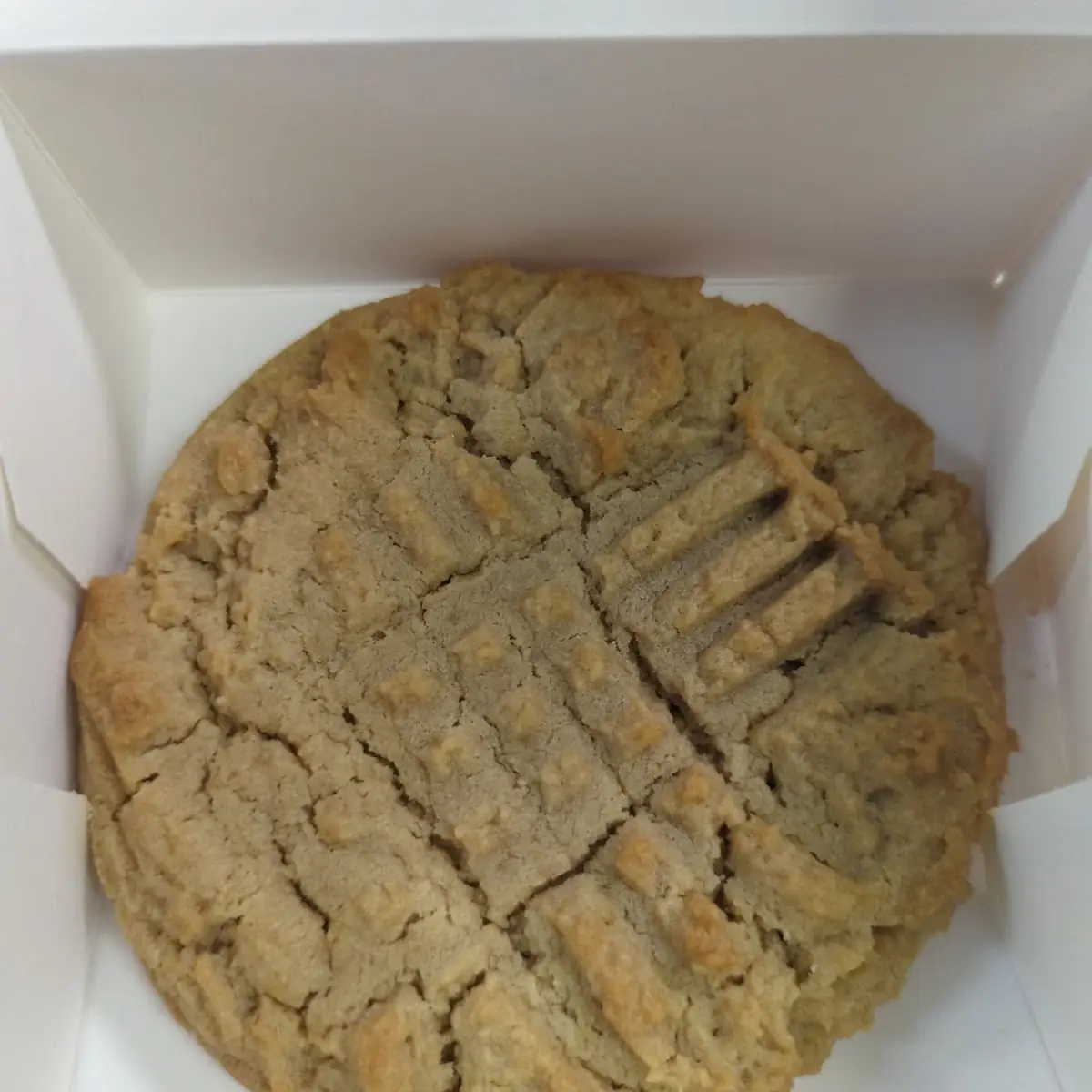 Peanut Butter Cookie