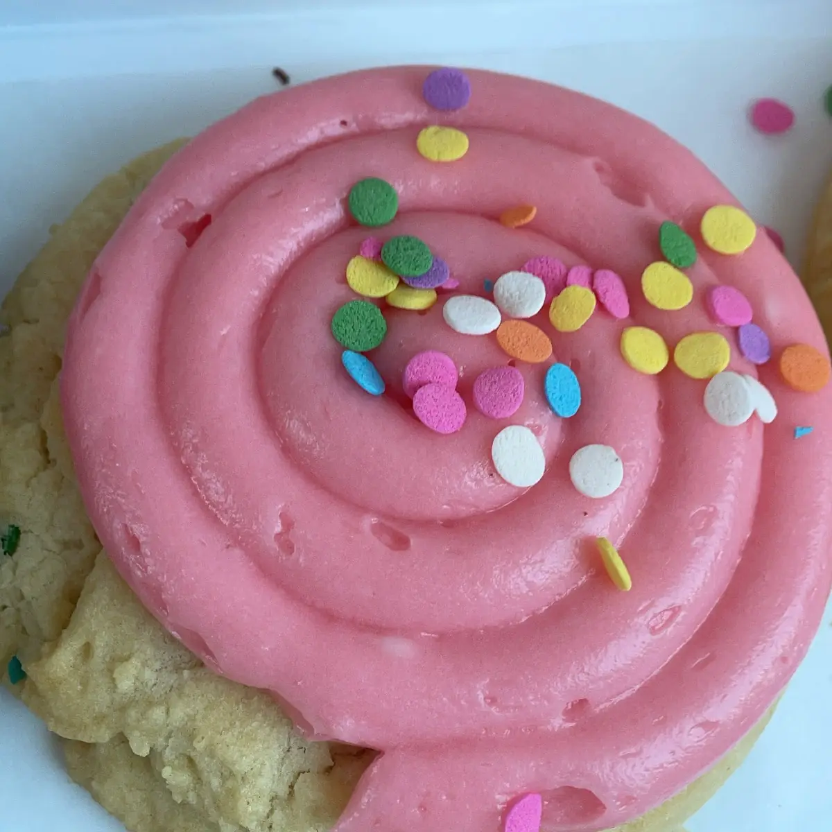 Sugar Cookie