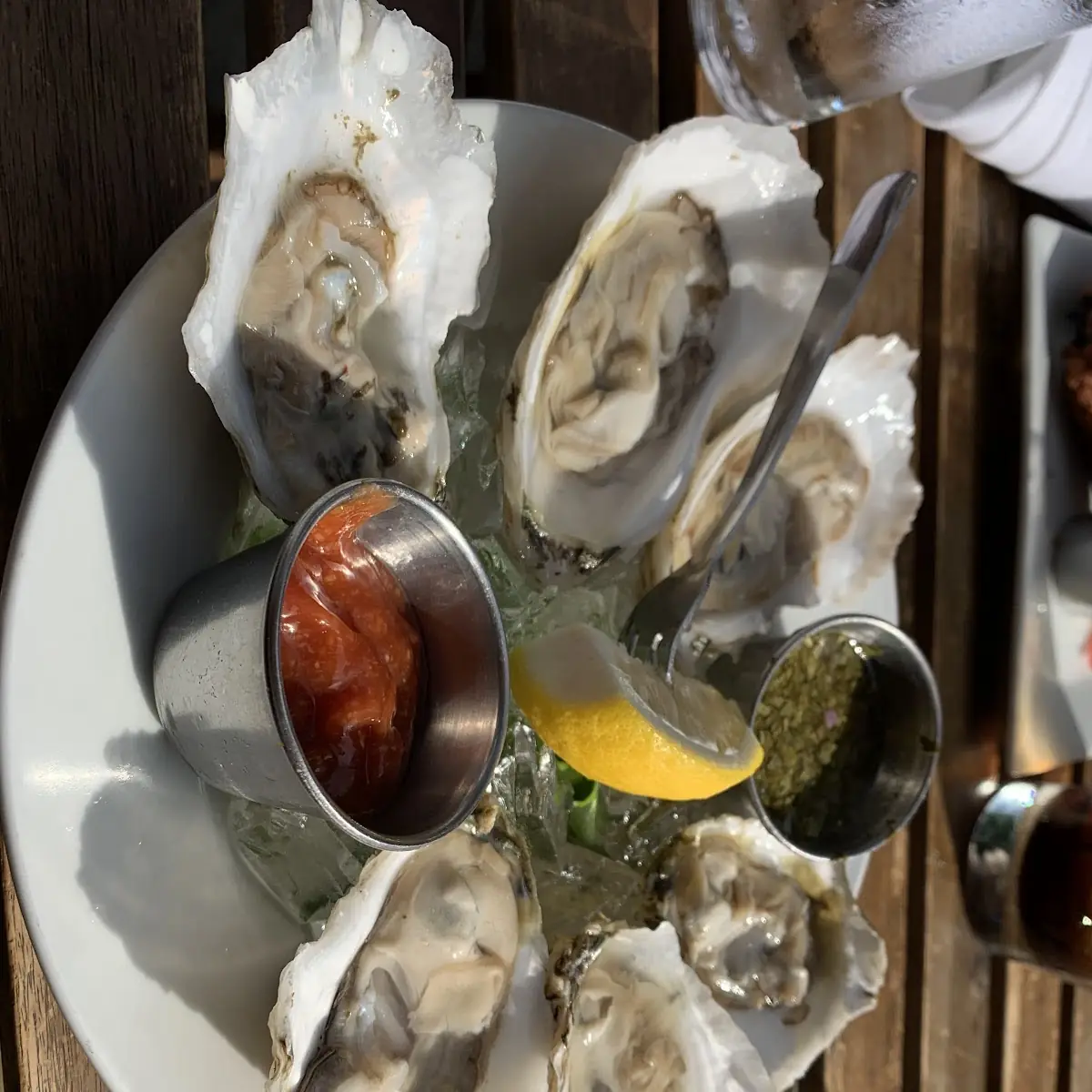Oysters on the Half Shell