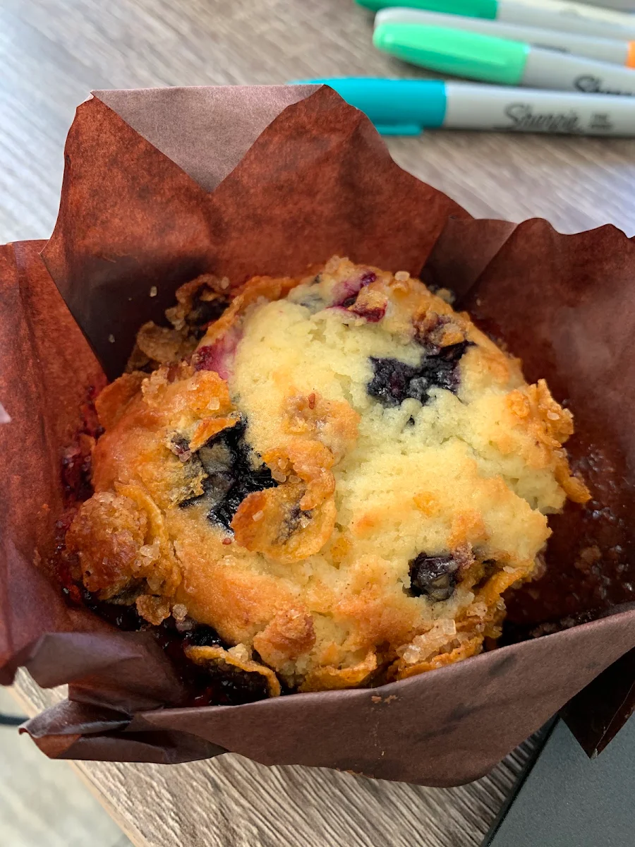 Blueberry Muffin