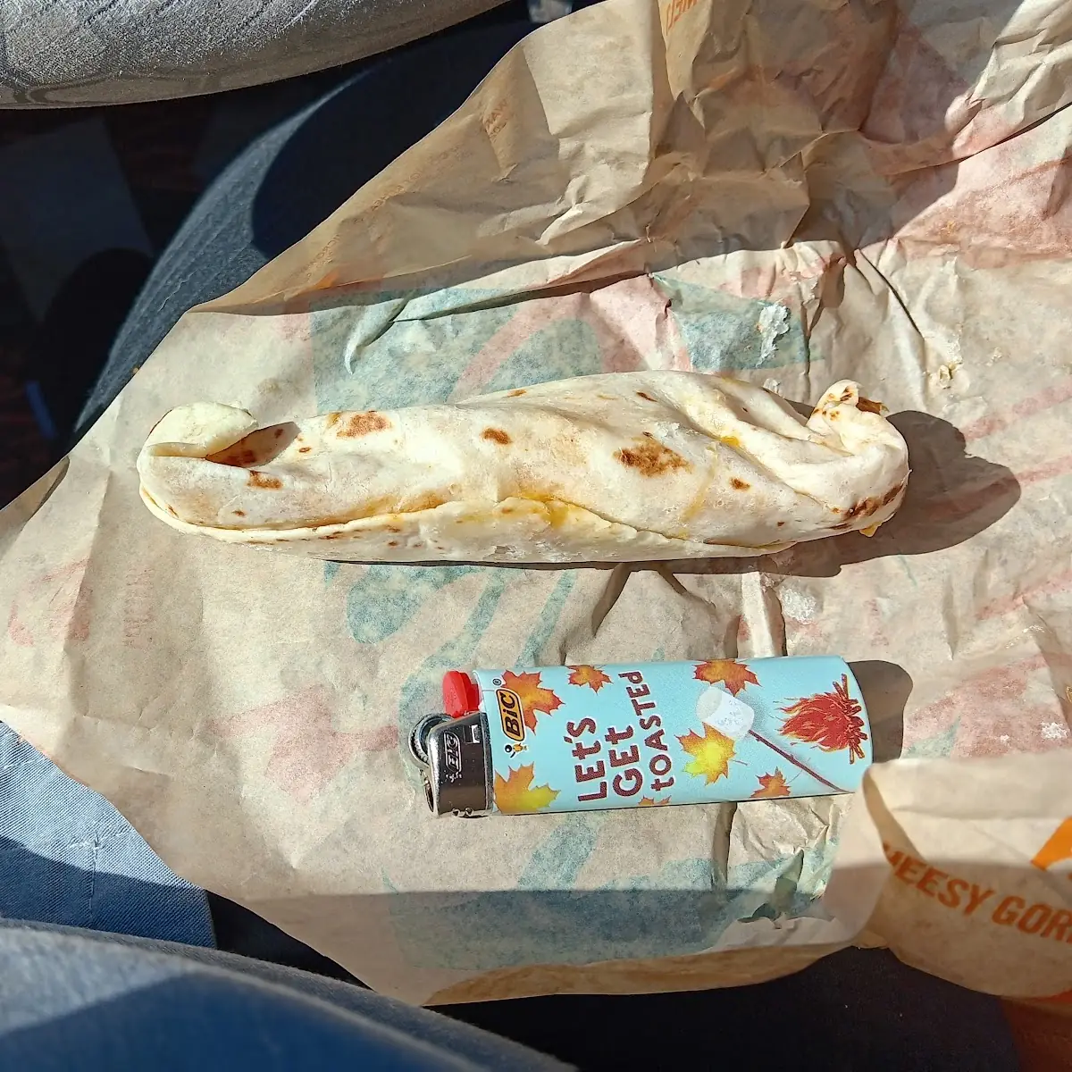 Chipotle Chicken Melt 2 59