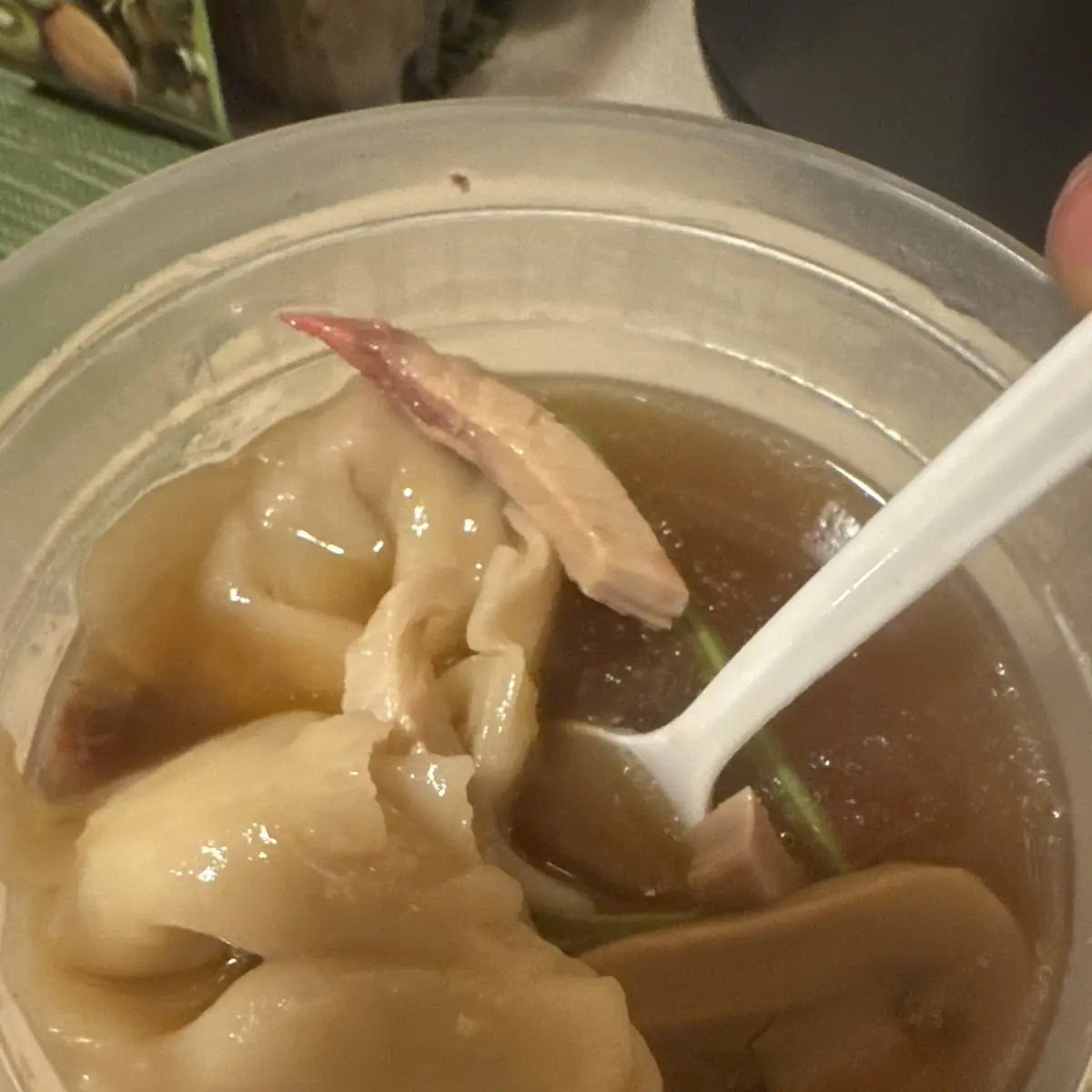 Wonton Soup
