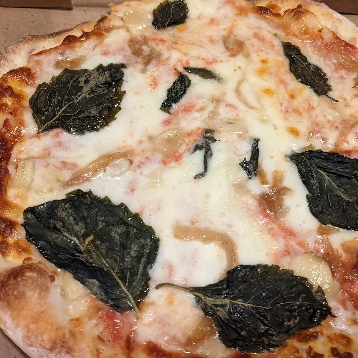 Bocconcini Pizza