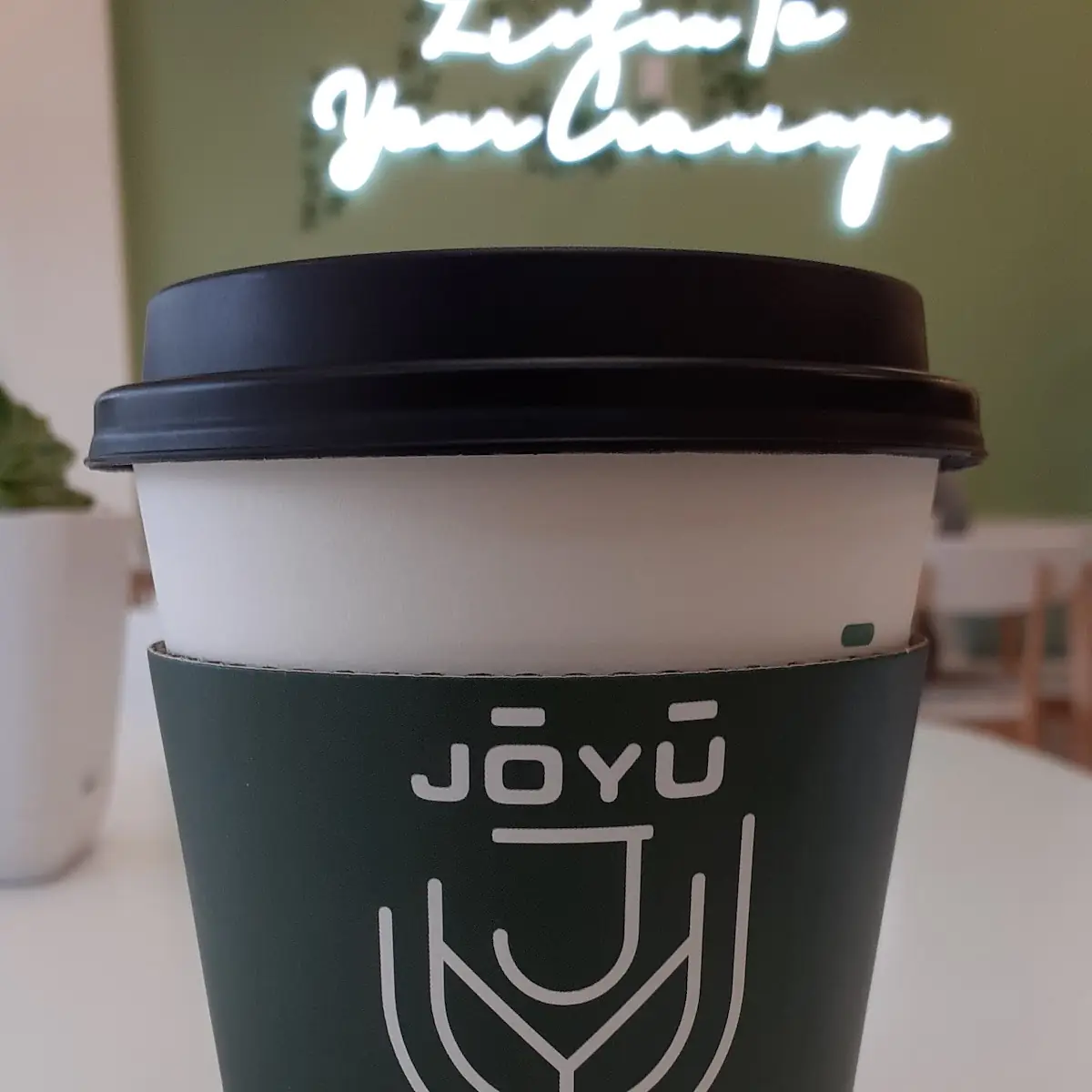 Oolong Milk Tea