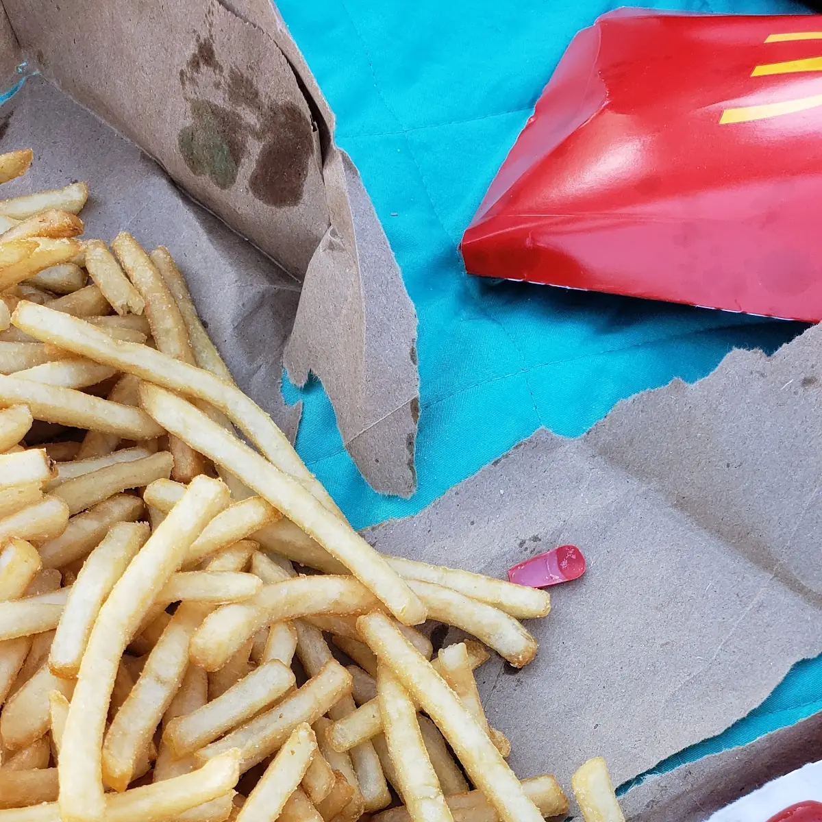 World Famous Fries