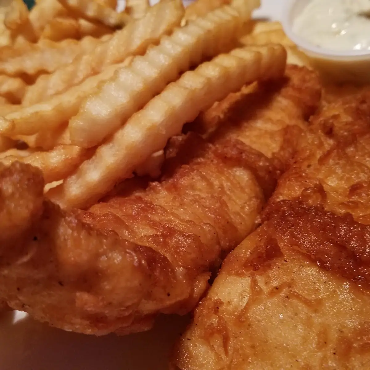 Fried Fish and Fries