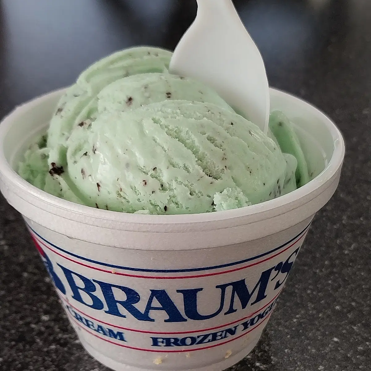 Mint Chocolate Chip Ice Cream
