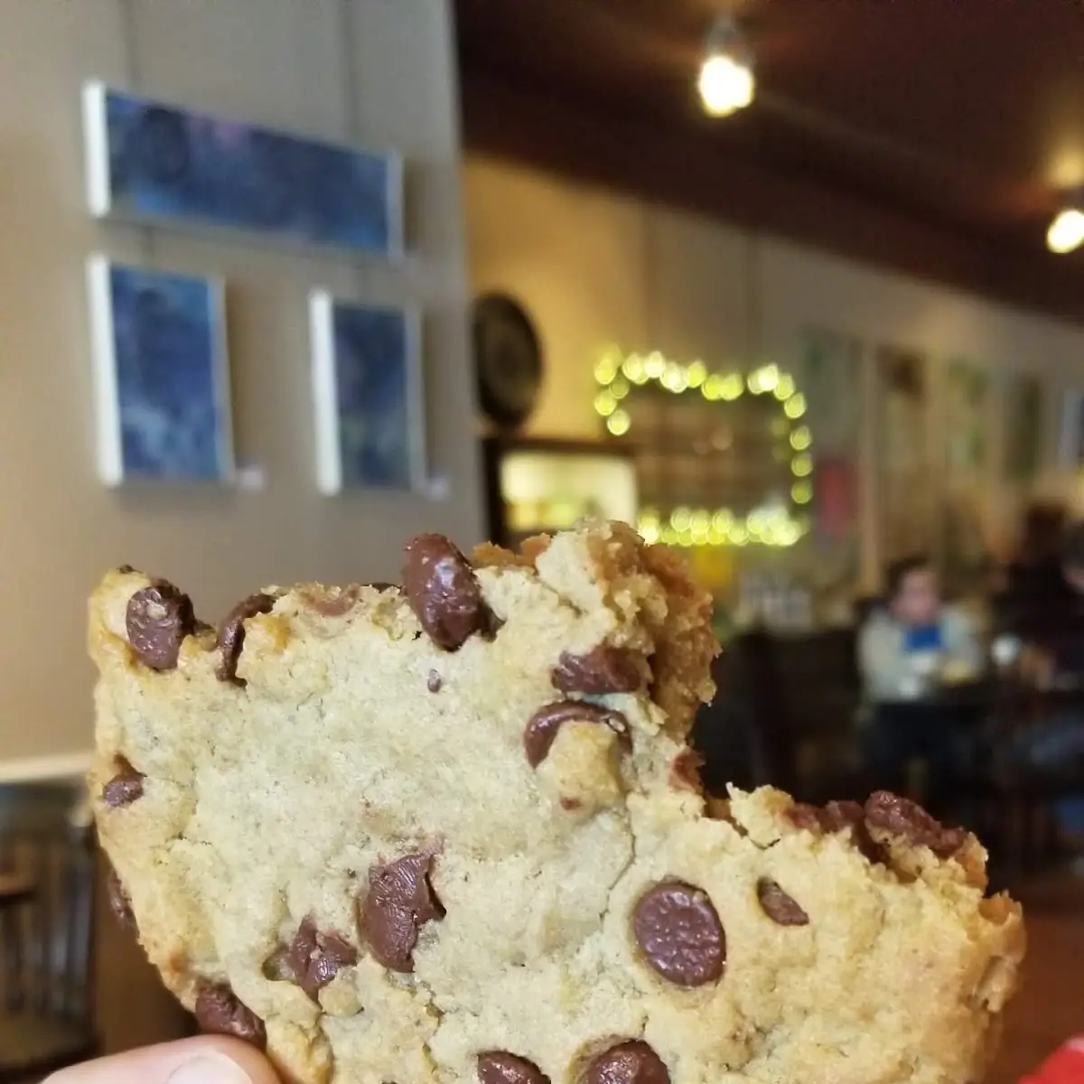Chocolate Chip Cookie
