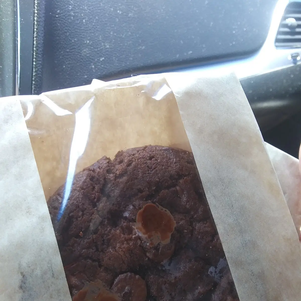 Double Chocolate Chip Cookie