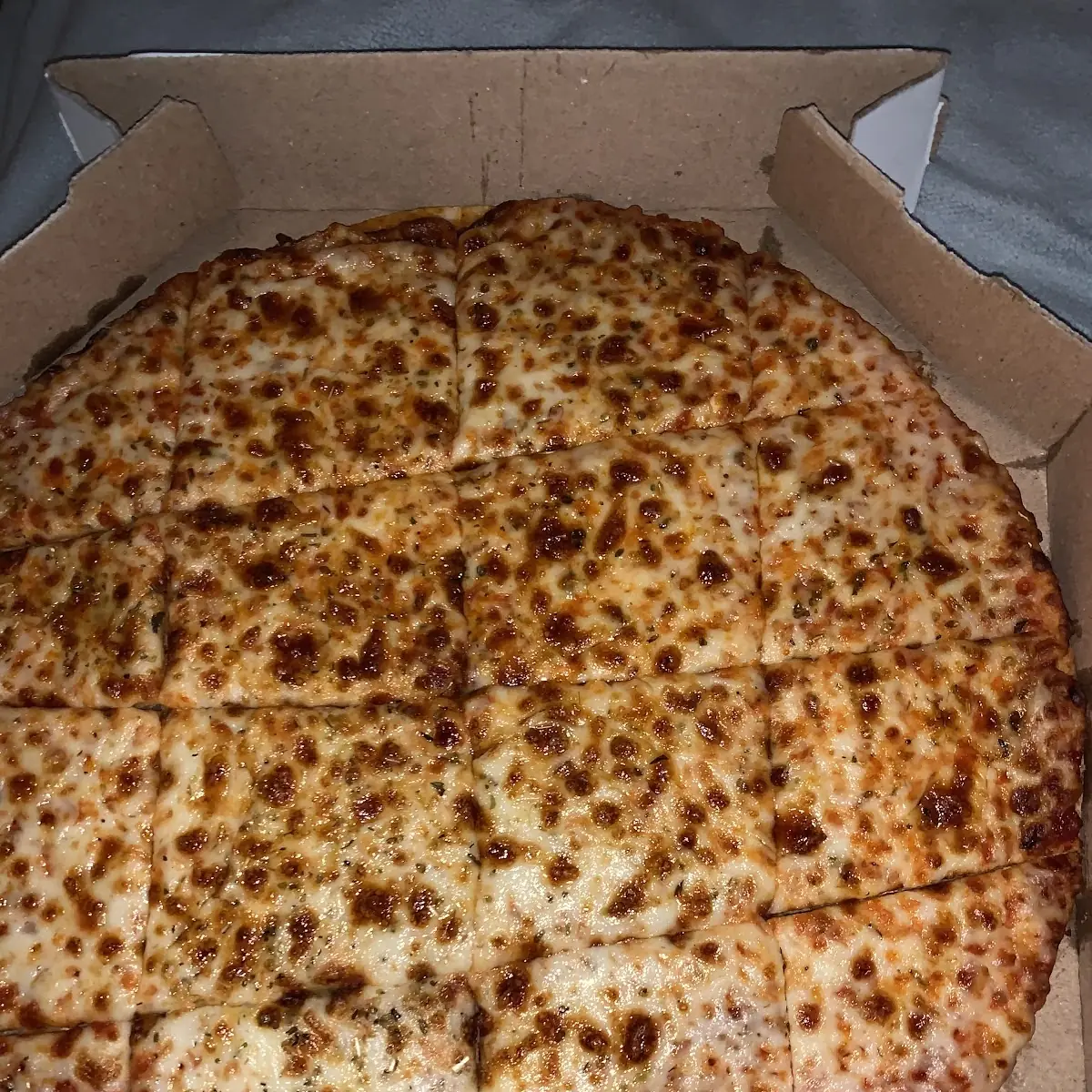 Regular Cheese Pizza