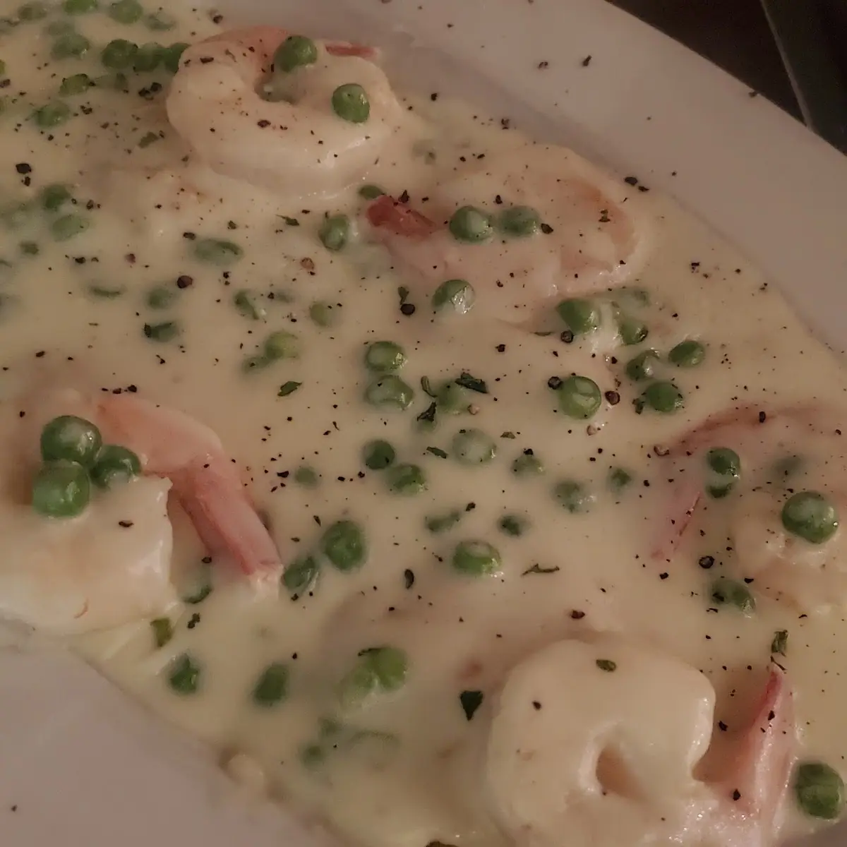 Shrimp Alfredo