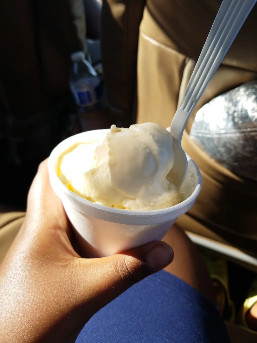 Vanilla Ice Cream Cup