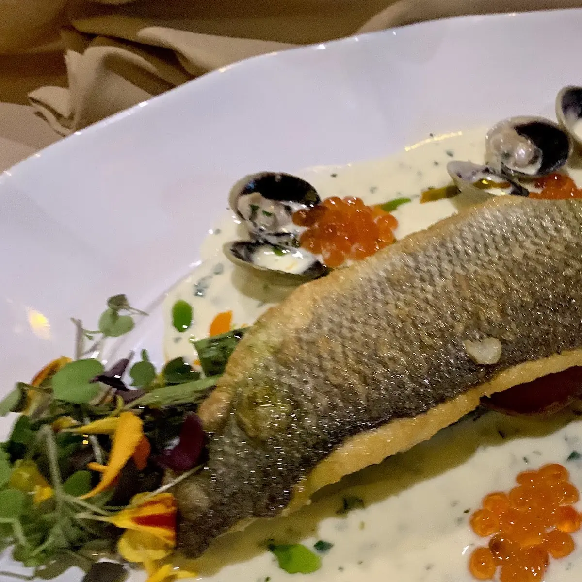 Sea Bass