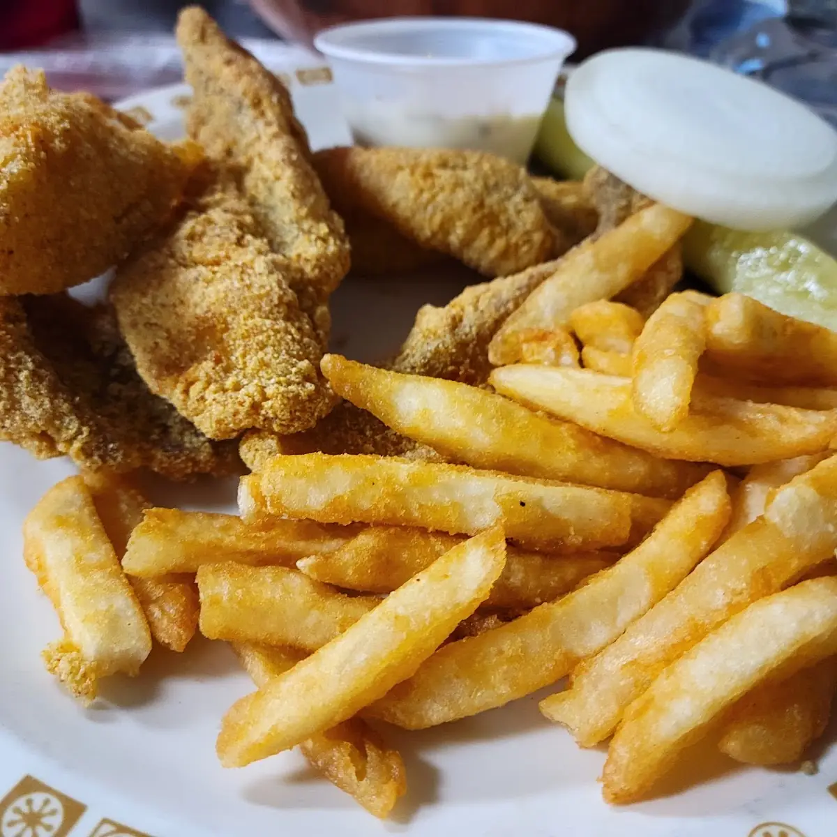 Catfish Fillet