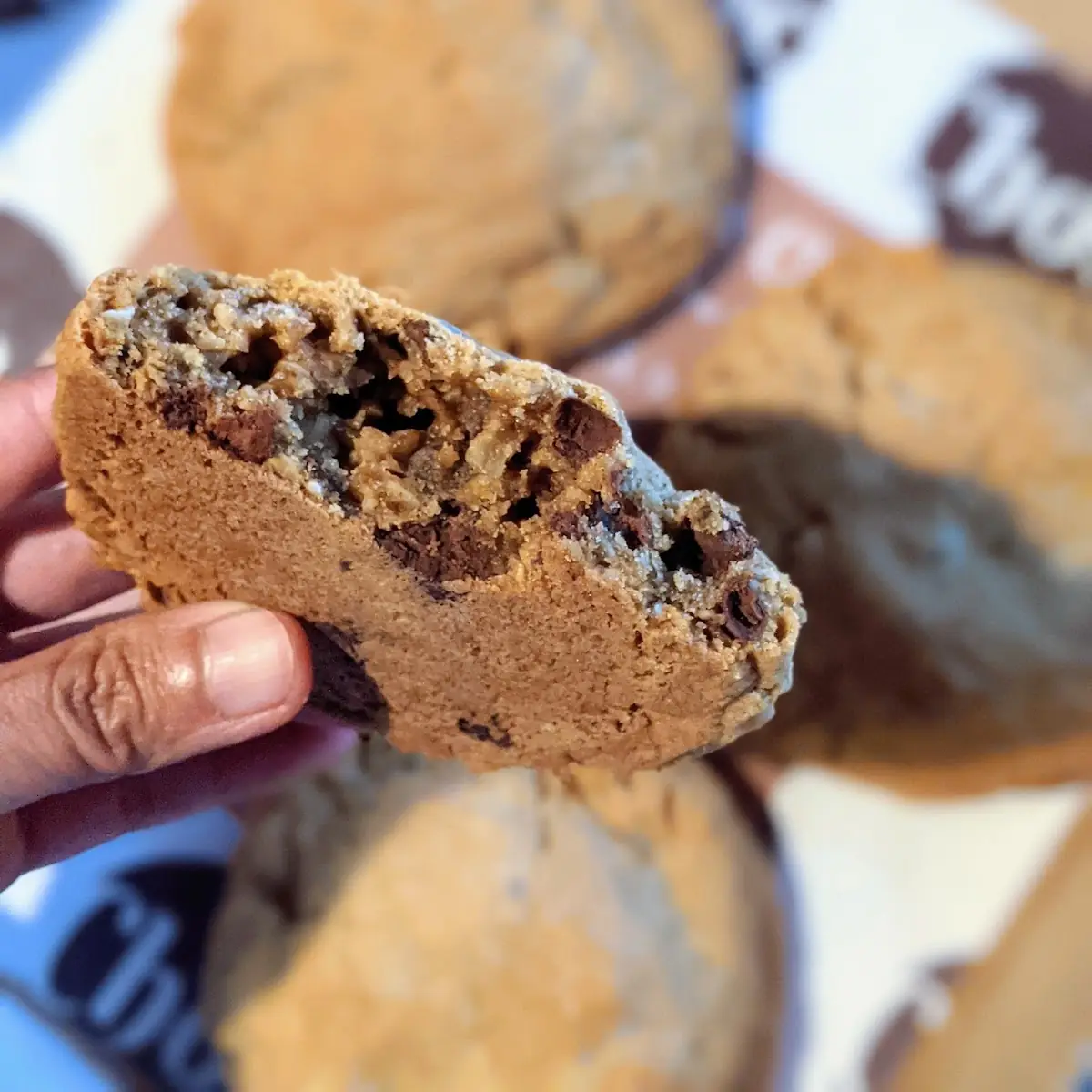 Oatmeal & Chocolate Chip