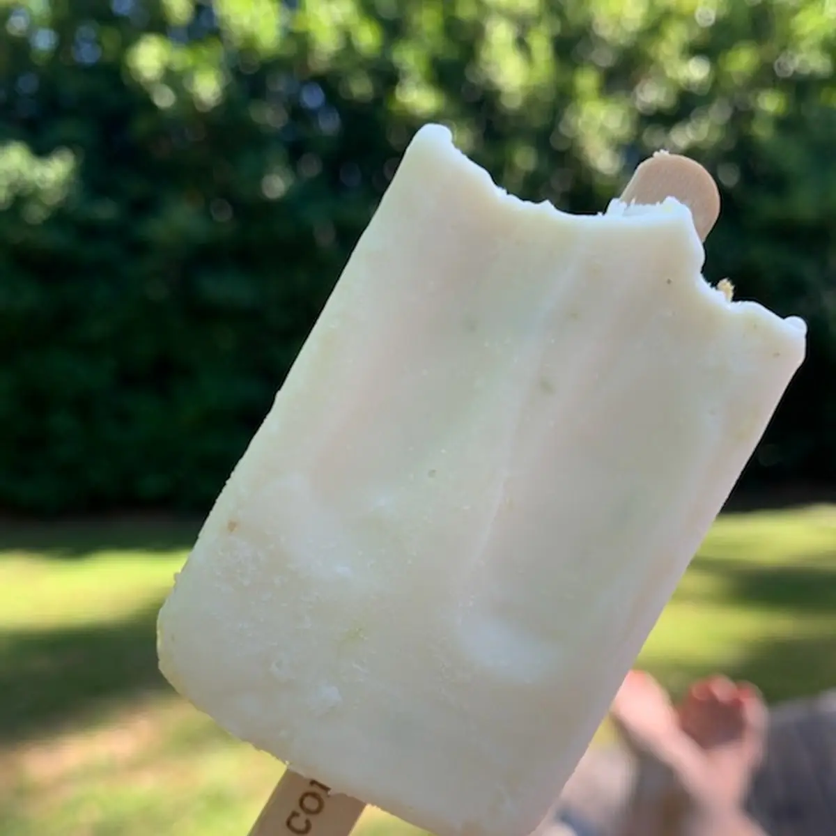 Ice Pop
