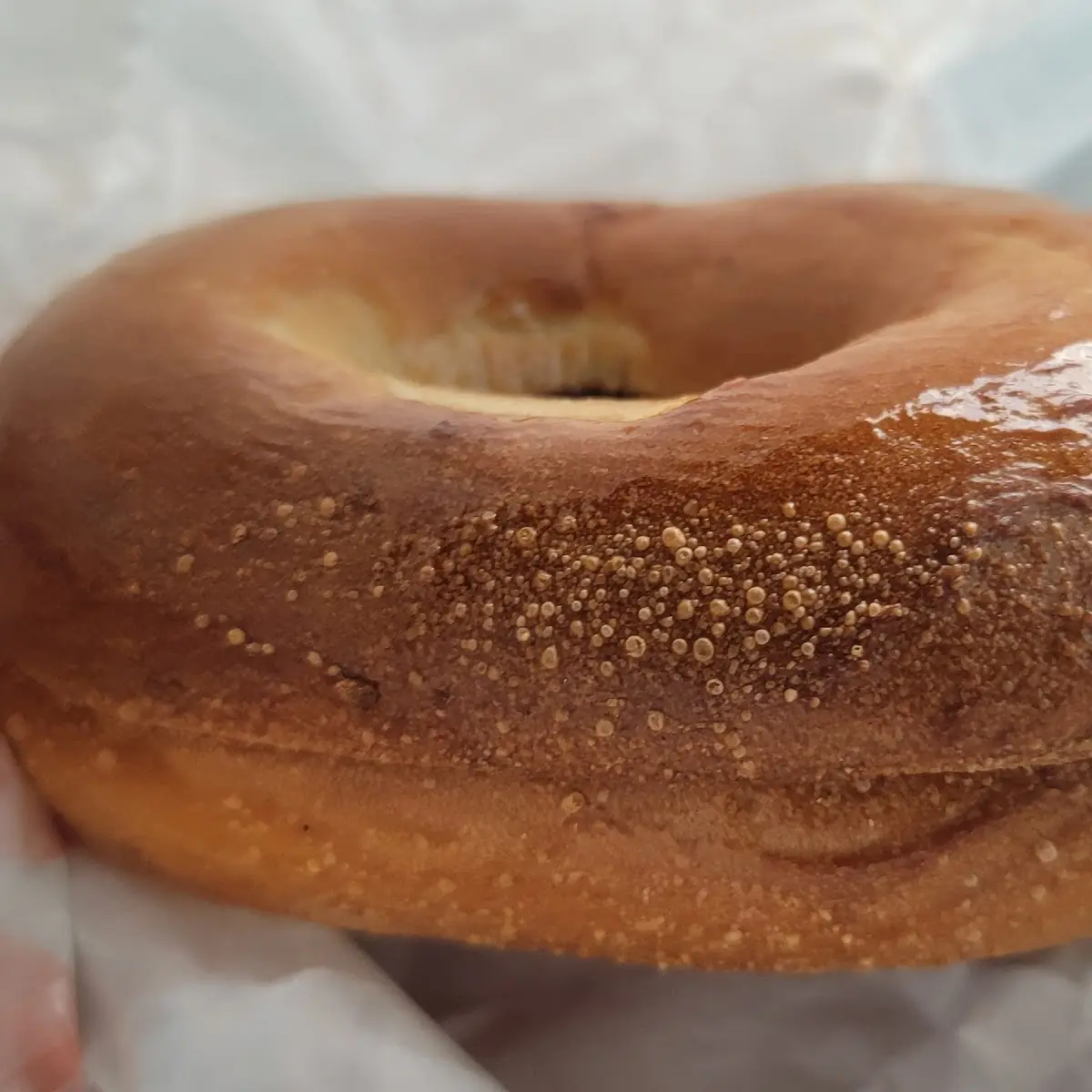 Plain Bagel with Butter
