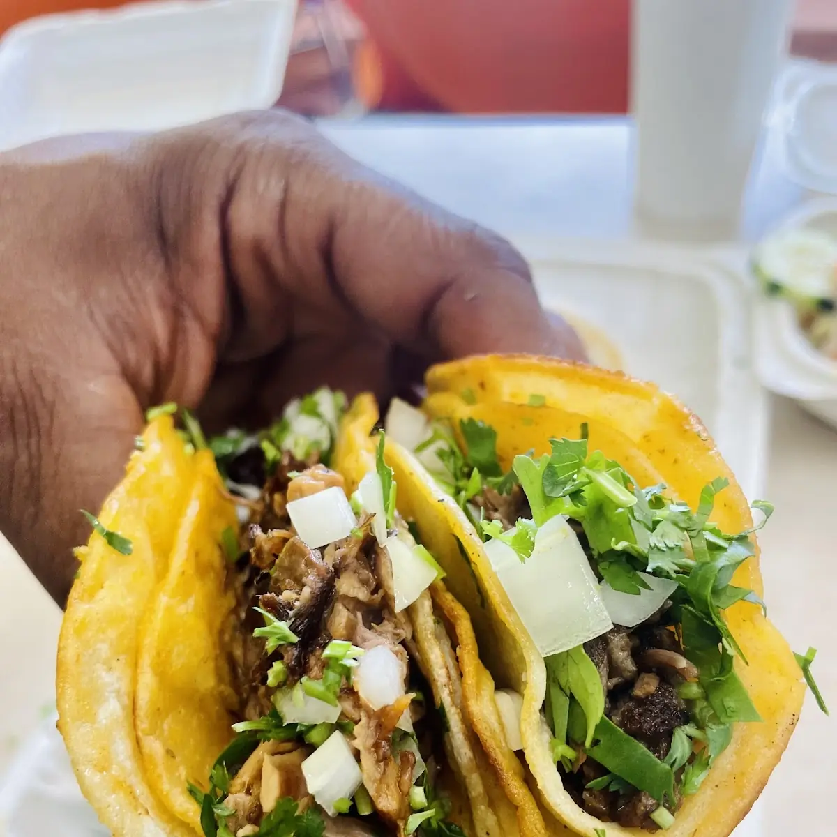 Birria Tacos
