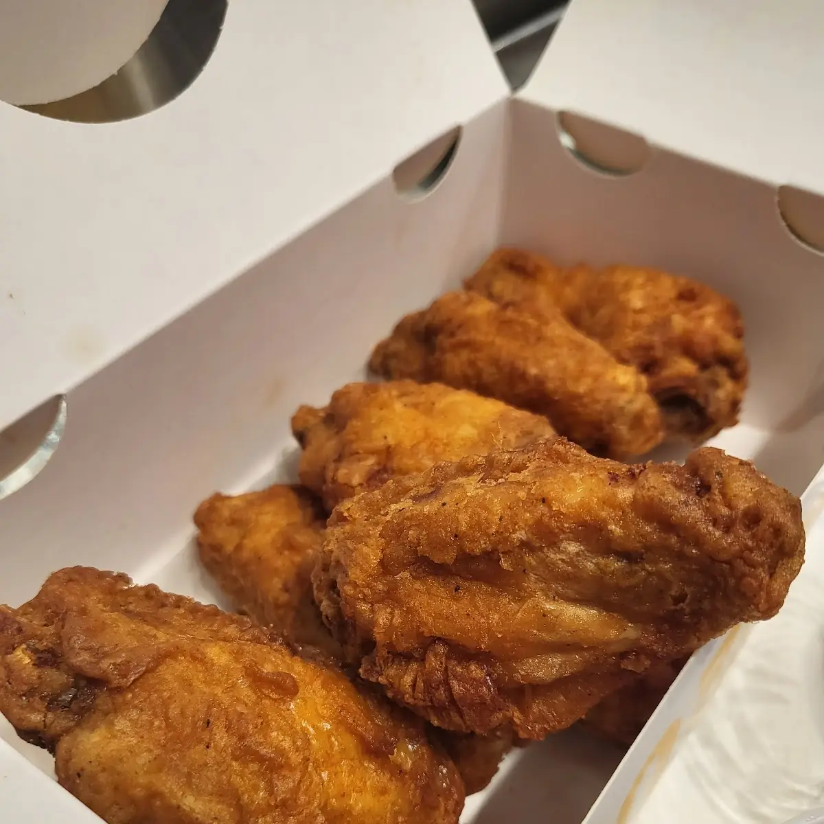 Plain Fried Chicken
