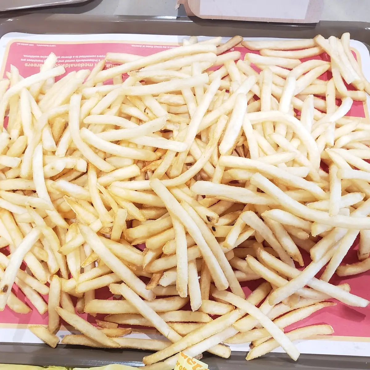 World Famous Fries