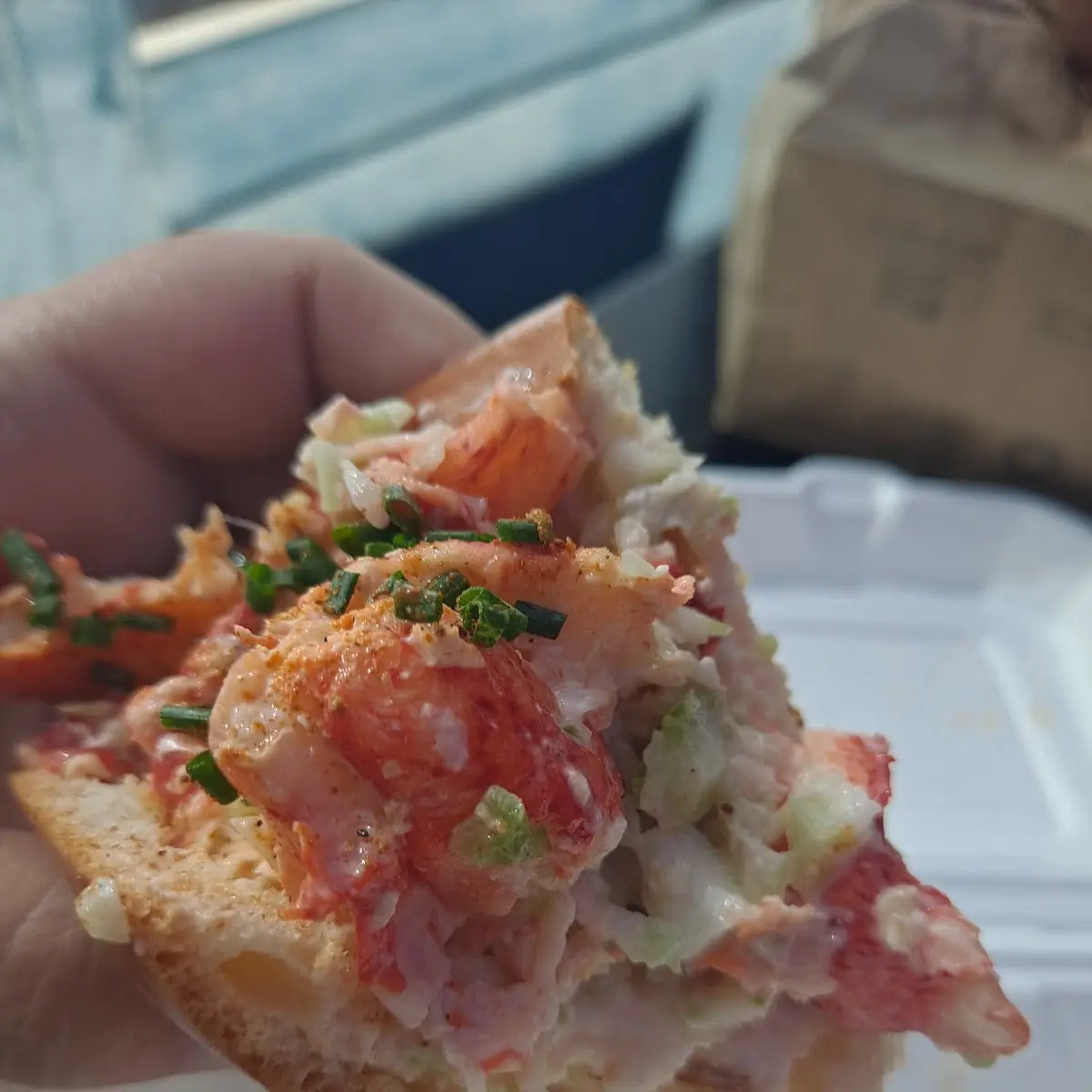 Maine Lobster Roll