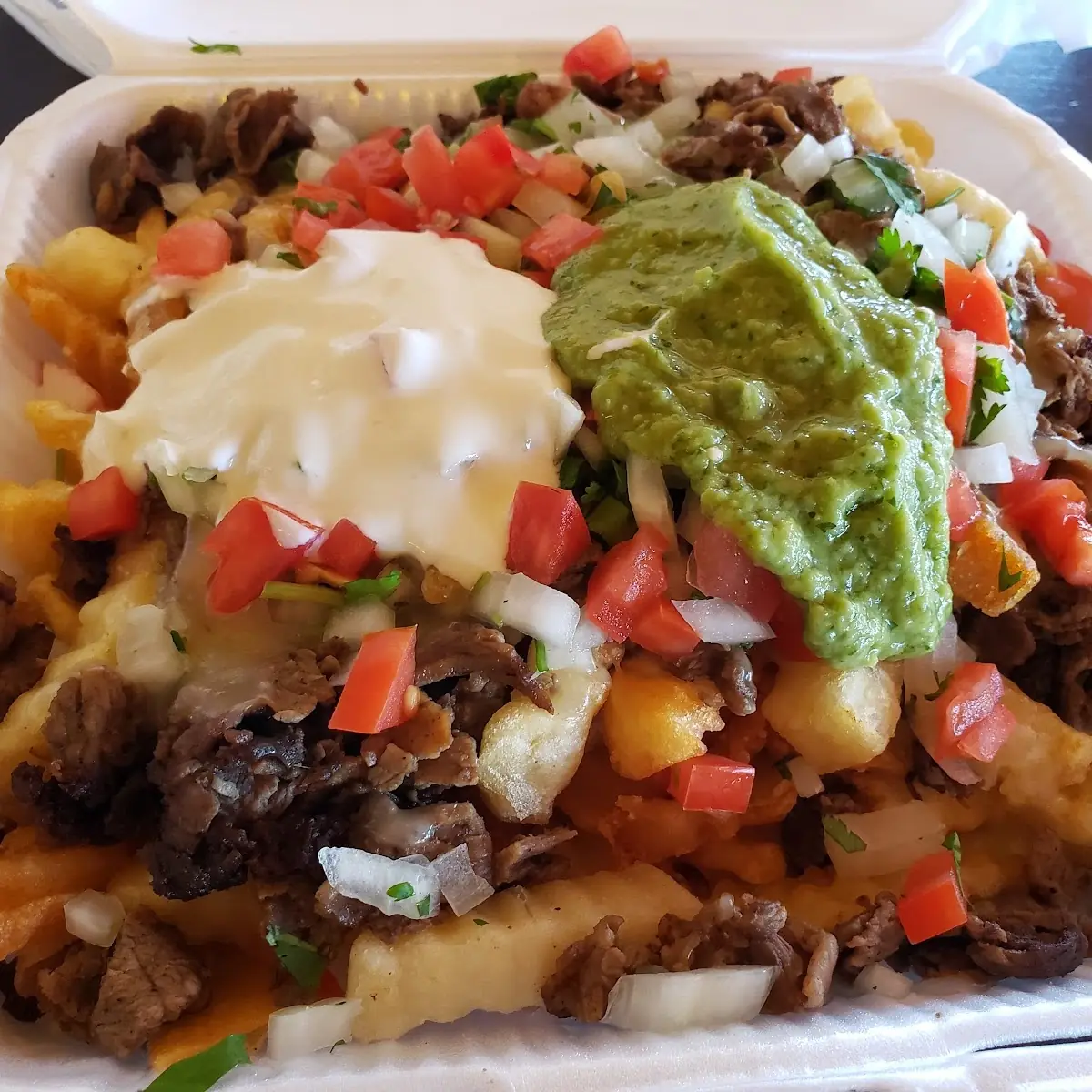 Carne Asada Fries