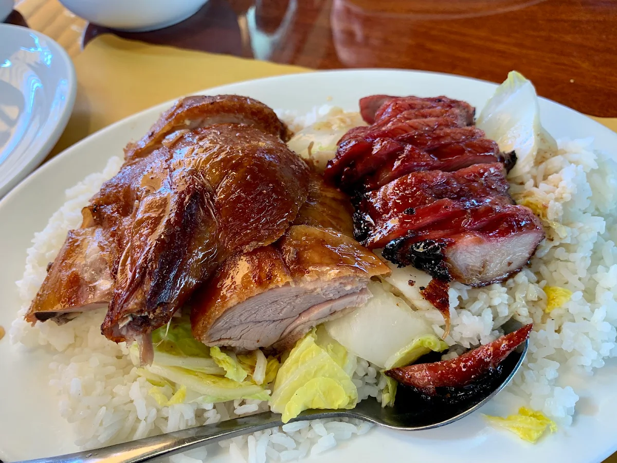 Chinese BBQ Pork and Duck Rice Plate